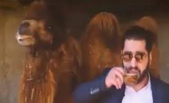 إيران تعتقل شخص تناول بول الإبل على أنه شفاء من " الوباء القاتل " إيران تعتقل شخص تناول بول الإبل على أنه شفاء من " الوباء القاتل "