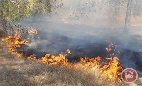 البالونات تحرق 300 دونم من مستوطنات غزة البالونات تحرق 300 دونم من مستوطنات غزة