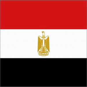 الحزب الوطني الحاكم يفوز بالانتخابات المصرية  