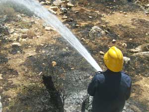 نتنياهو يشكر عباس على مساهمة الفلسطينيين في إخماد الحرائق