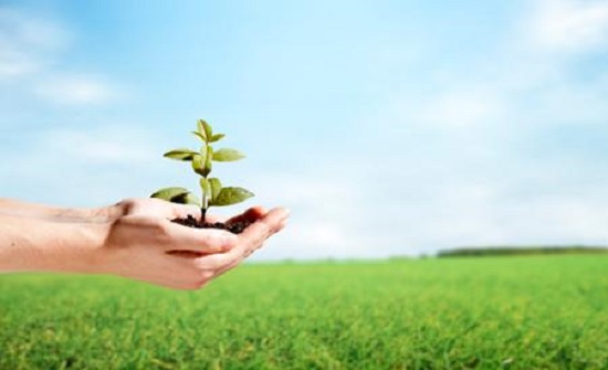 مؤتمرون يدعون لمزيد من التحقيقات الاستقصائية المتخصصة بالبيئة