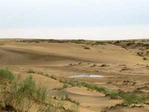 وفاة عضو بالعائلة الحاكمة في قطر بحادث سيارة بالعراق