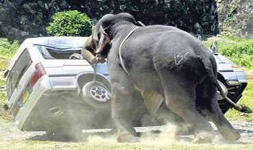 تعالوا لنهدأ ساعة 