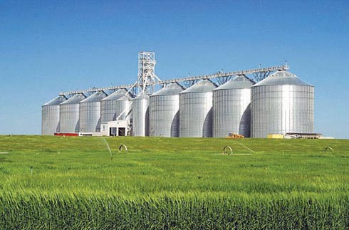 الصوامع والحبوب تبدأ بإستلام محاصيل مزارعي الشمال