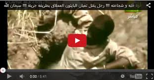 بالفيديو : رجل يقتل ثعبان البايثون العملاق بطريقة جريئة بالفيديو : رجل يقتل ثعبان البايثون العملاق بطريقة جريئة