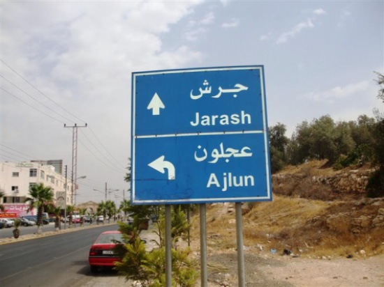 موظفو صندوق المعونة ينفذون حملة بيئية بأحراش جرش موظفو صندوق المعونة ينفذون حملة بيئية بأحراش جرش