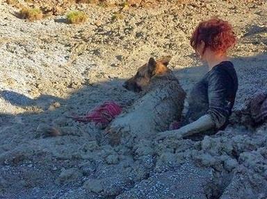 بالصور.. رمال متحركة تبتلع سيدتيٌن وكلبهما !