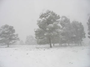 عاصفة ثلجية تضرب سوريا