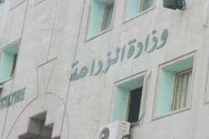 وزارة الزراعة تدعو المزارعين الى اخذ الحذر من الانخفاض في درجات الحرارة  