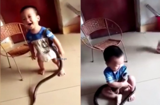 فيديو مرعب .. هرعت الأم على صراخ طفلها لتجد أفعى ضخمة تلتف حوله!