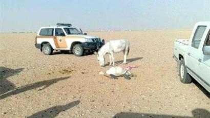 حمار يقتل رجل سعودي حاول الاعتداء عليه جنسياً!