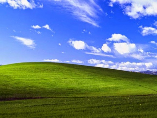 بالفيديو والصور.. سر صورة سطح المكتب الشهيرة لويندوز xp بالفيديو والصور.. سر صورة سطح المكتب الشهيرة لويندوز xp