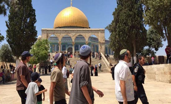 مستوطنون متطرفون يقتحمون باحات الاقصى بالقدس مستوطنون متطرفون يقتحمون باحات الاقصى بالقدس