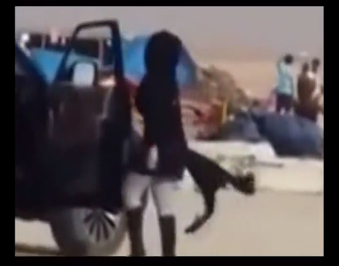 فتاة تترك سيارتها لترقص في منتصف طريق عام بالإمارات