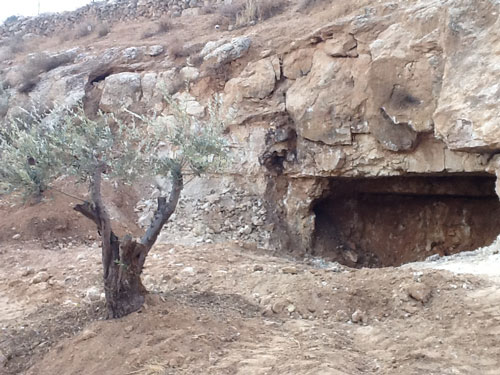 العثور على جثة رضيع في مغارة بالكرك العثور على جثة رضيع في مغارة بالكرك