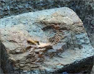 اكتشاف آثار لعالم كامل تحت الماء    