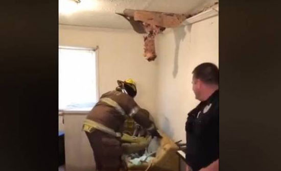 بالفيديو.. سقوط حيوانات من سقف أحد المنازل!