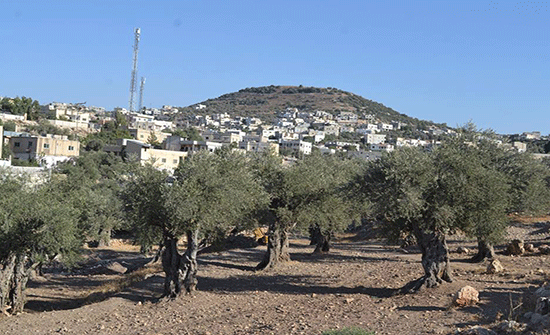 جمعية تبنة الخيرية تنفذ حملة نظافة عامة في البلدة