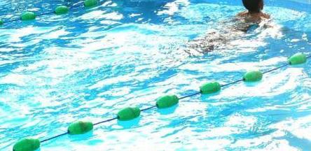 مشاركة كبيرة في مهرجان السباحة للجنة رياضة المرأة الاولمبية 