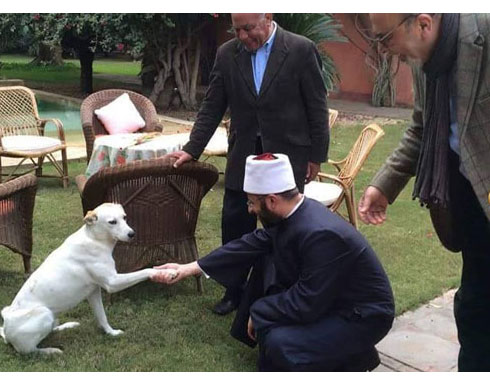 مستشار السيسي للشؤون الدينية يصافح كلباً