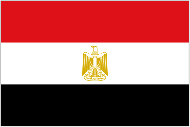 مصر : مسيرات مؤيدة للرئيس مرسي مصر : مسيرات مؤيدة للرئيس مرسي