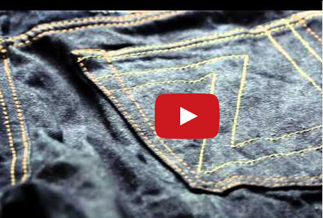 حيوانات مفترسة تشارك في تصميم الأزياء