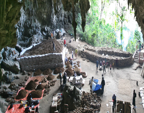 جزيرة عجيبة تقزّم الإنسان والحيوان.. وتحير العلماء