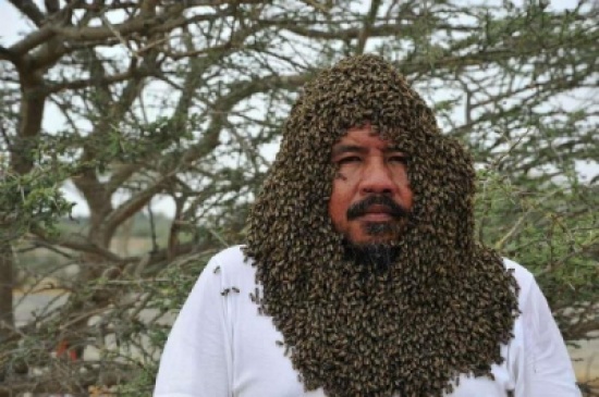 صورة غريبة لنحال سعودي وعلى وجهه آلاف النحل صورة غريبة لنحال سعودي وعلى وجهه آلاف النحل