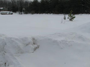 مقتل 4 اميركيين بسبب الثلوج 