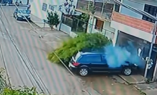 بالفيديو : نجاة راكب درّاجة بأعجوبة من موت محقق بالفيديو : نجاة راكب درّاجة بأعجوبة من موت محقق