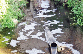 ورشة عمل عن حماية المصادر المائية بعجلون