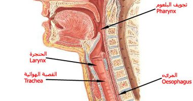 خلل هرمونات الجسم والمشروبات الباردة قبل النوم أبرز أسباب تغير الصوت خلل هرمونات الجسم والمشروبات الباردة قبل النوم أبرز أسباب تغير الصوت