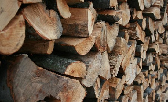 وزارة الزراعة تدعو إلى استيراد الحطب من الخارج