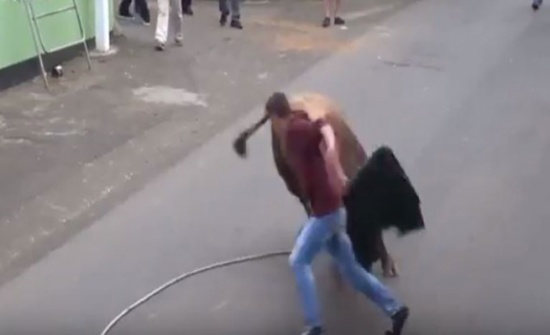 رجل مسن ضحية ثور هائج .. بالفيديو