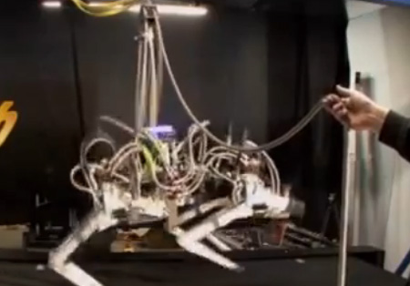 فهد آلي يحطم الرقم القياسي في سرعة الروبوتات