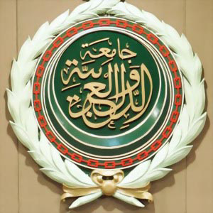 الجامعة العربية تؤكد شفافية الاستفتاء في الجنوب السوداني