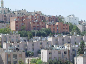 16 جمعية خيرية في لواءي القصر وفقوع تصوب اوضاعها  