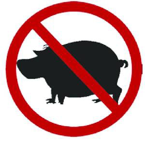 ارتفاع الاصابات الاجمالية بانفلونزا الخنازير في الاردن الى161  