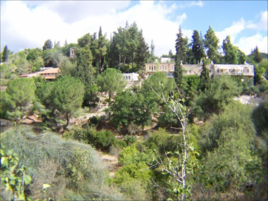 عين كارم عربية اسلامية وليست تراثا يهوديا