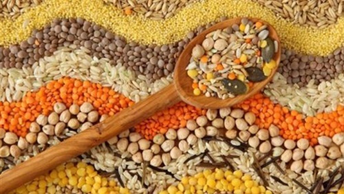 صوامع الرمثا تواصل تسلم الحبوب من مزارعي الشمال