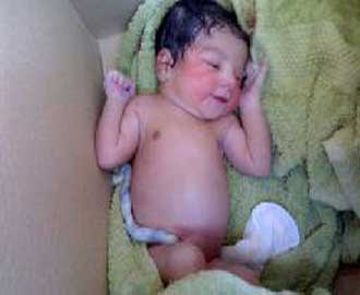 العثور على جثة طفل لقيط في الزرقاء  