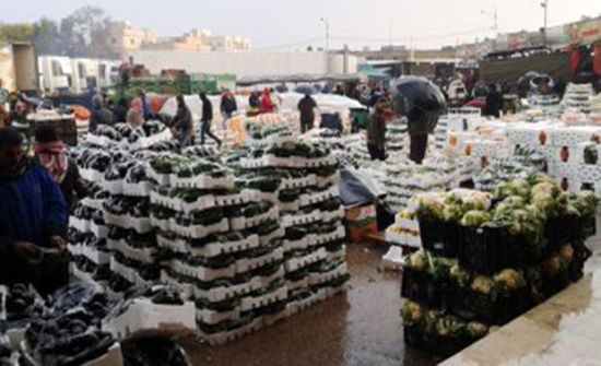 500 فرصة عمل للأردنيين في مجال نقل الخضار بالسوق المركزي 500 فرصة عمل للأردنيين في مجال نقل الخضار بالسوق المركزي