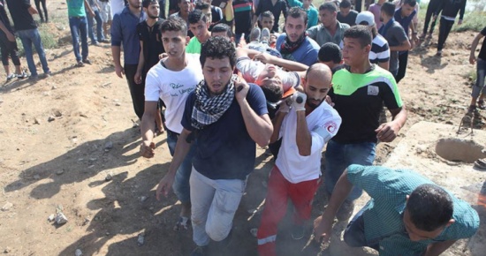 اصابة فلسطيني برصاص الاحتلال شمالي قطاع غزة اصابة فلسطيني برصاص الاحتلال شمالي قطاع غزة