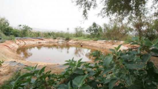 وفاة اربعيني غرقاً ببركة زراعية في الشونة الجنوبية وفاة اربعيني غرقاً ببركة زراعية في الشونة الجنوبية