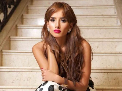 لهذا السبب رفضت زينة الظهور مع نيشان