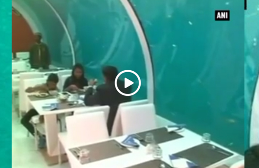 بالفيديو.. أول مطعم تحت الماء في الهند!