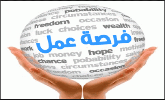 العمل تعلن عن 150 فرصة عمل للإناث العمل تعلن عن 150 فرصة عمل للإناث