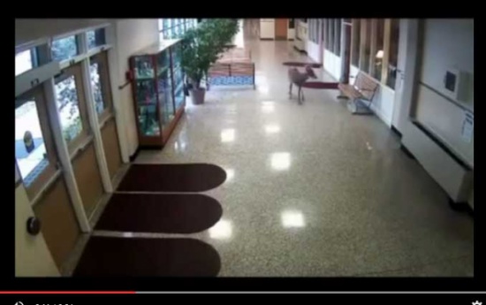 غزال ينزلق في مدرسة