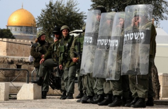 فلسطين : 22 شهيداً و2460 معتقلاً منذ بداية عام 2015 فلسطين : 22 شهيداً و2460 معتقلاً منذ بداية عام 2015