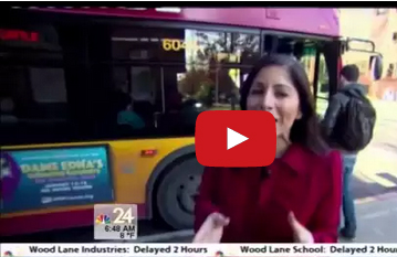 شاهد.. كلبة تركب الحافلة وتتنزه بمفردها